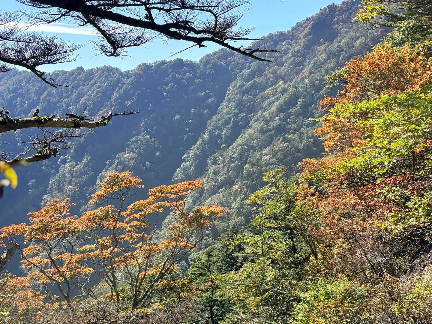 石鎚山・成就社ルート｜手前にも鮮やかな紅葉