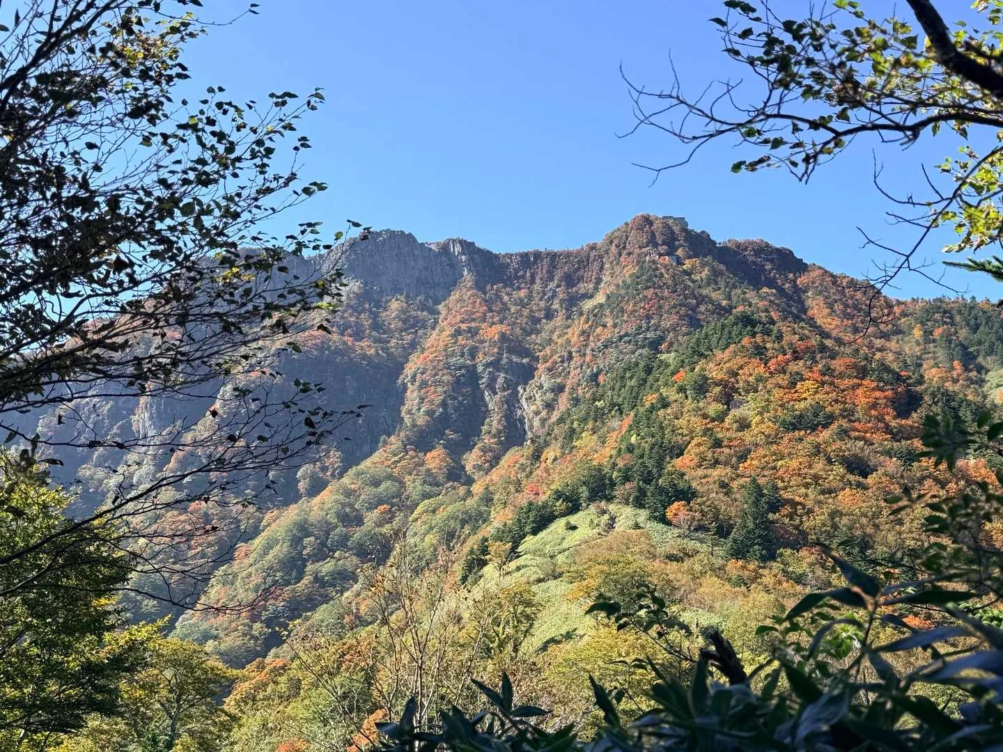 石鎚山・成就社ルート｜石鎚山の山肌にも紅葉