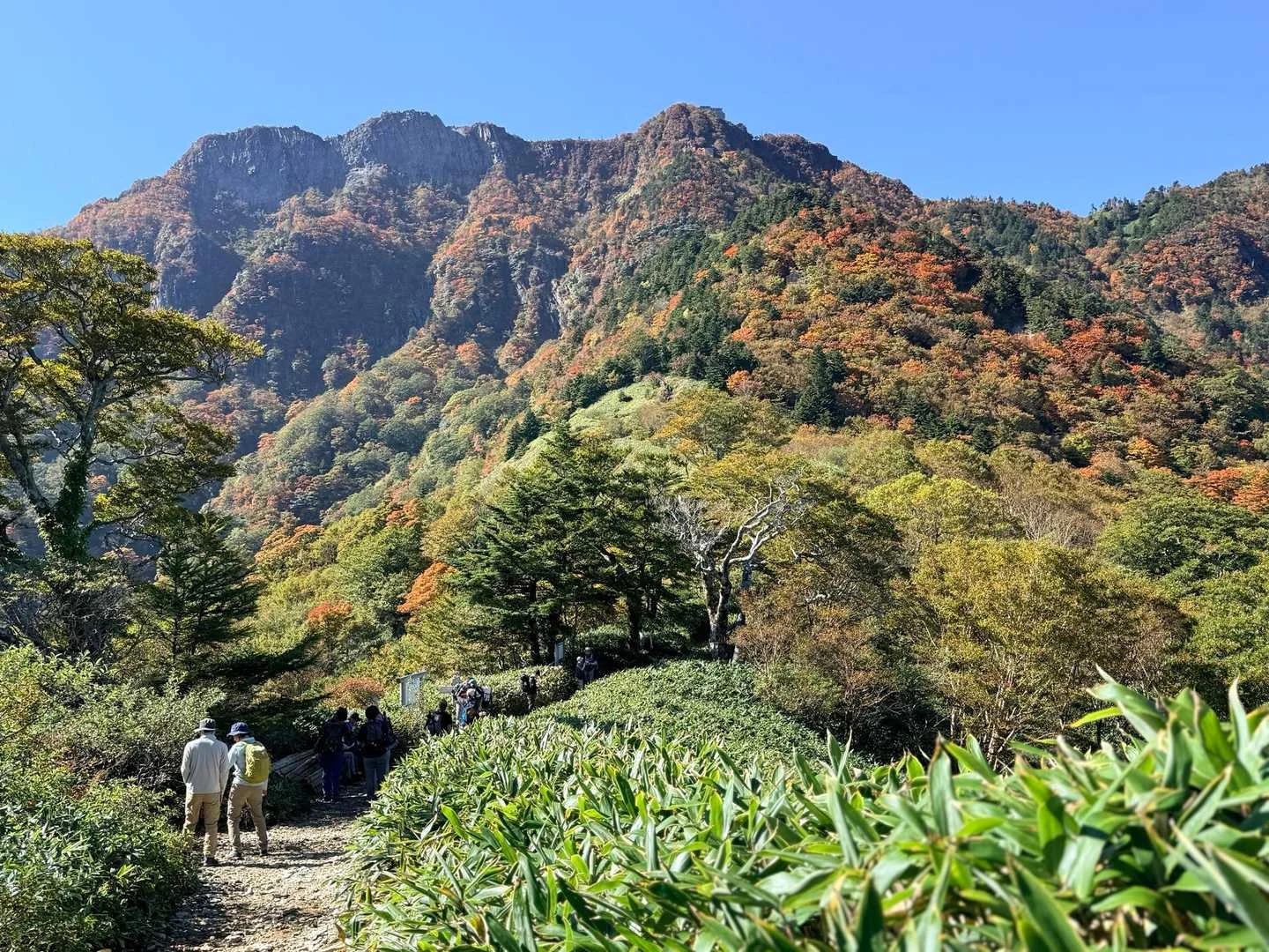 石鎚山・成就社ルート｜夜明峠から紅葉の山肌