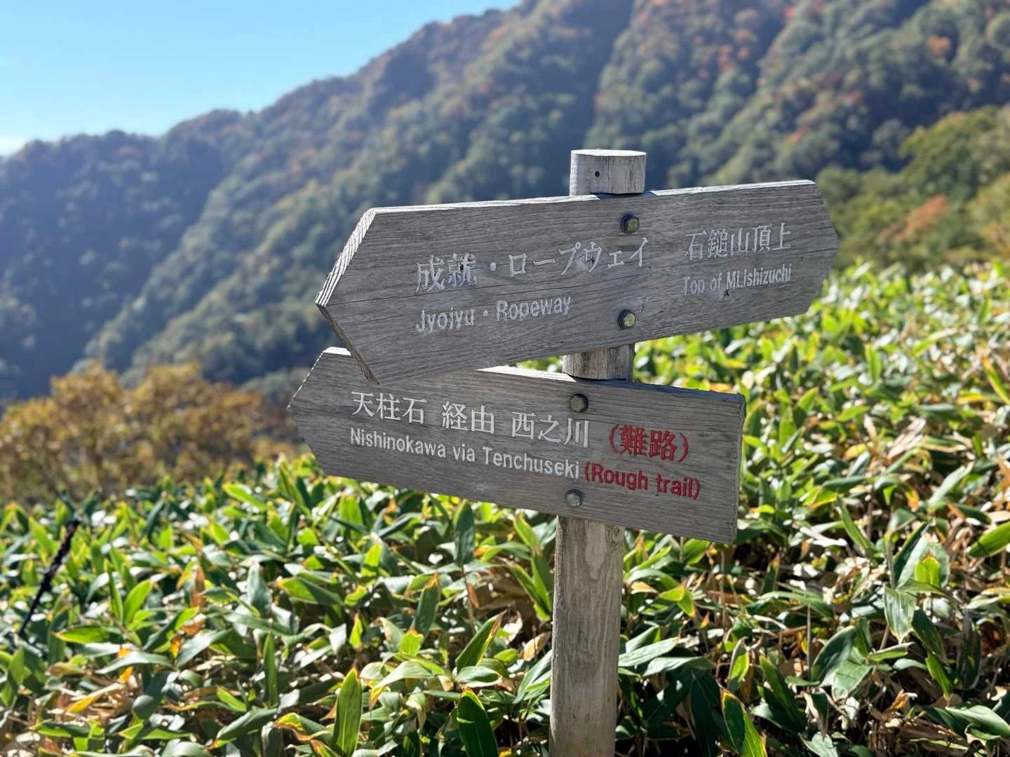 石鎚山・成就社ルート｜天柱石方面との分岐