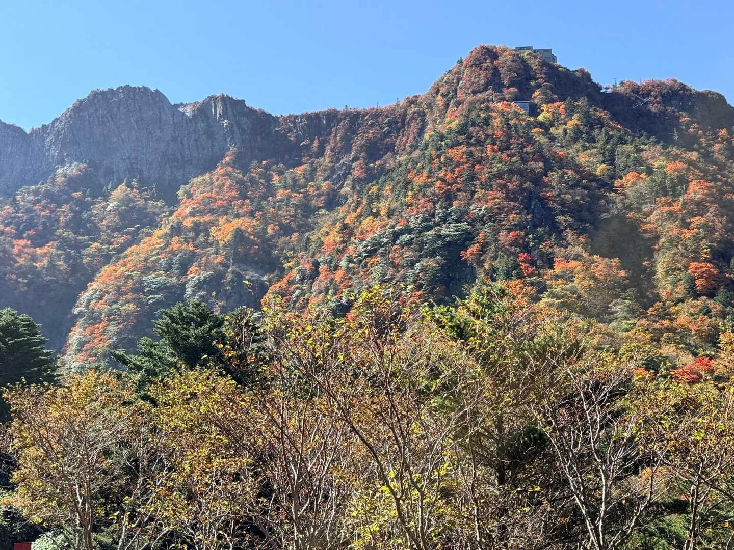 石鎚山・成就社ルート｜石鎚山の山容が見える
