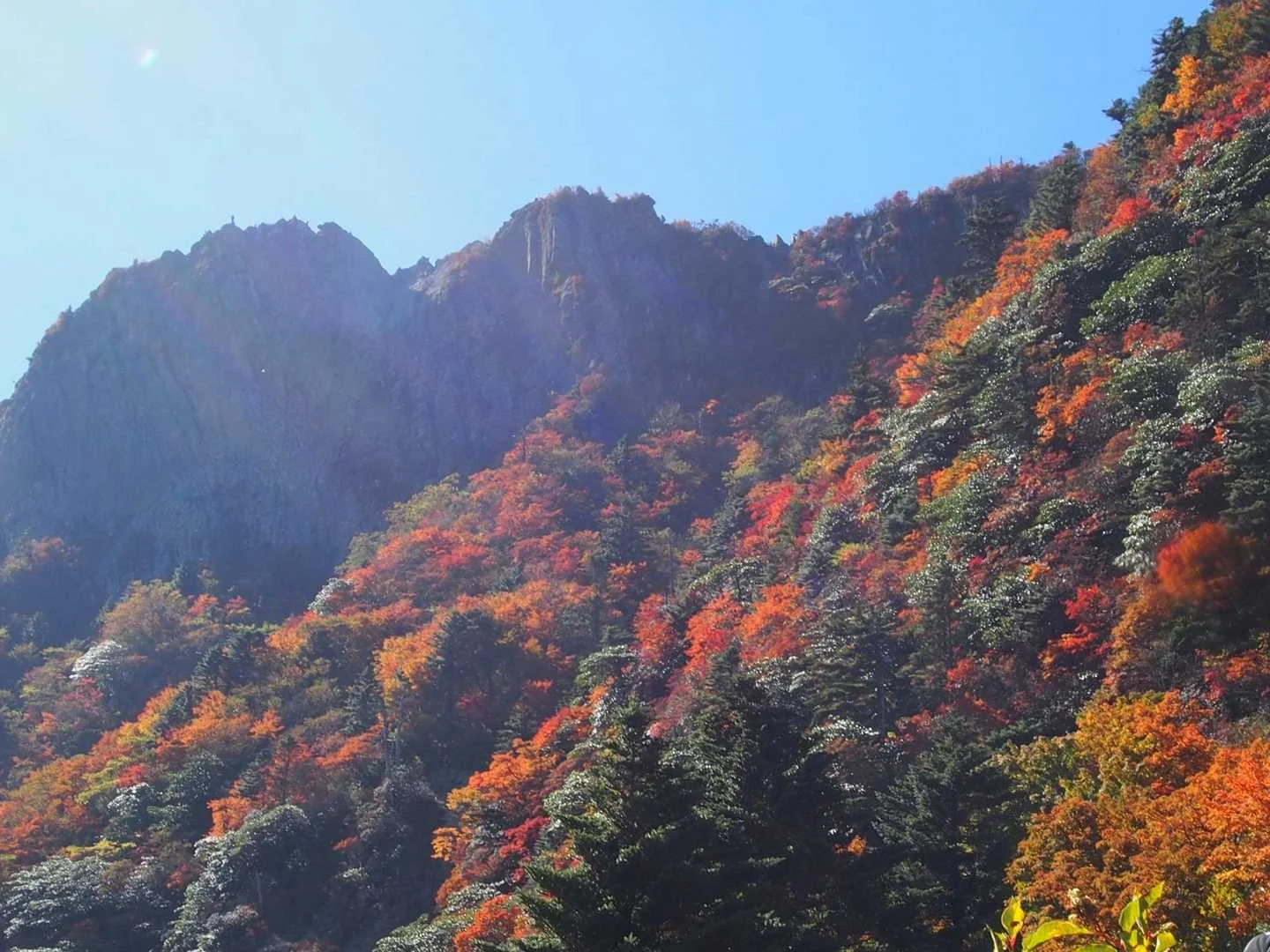 石鎚山・成就社ルート｜山肌を彩る紅葉