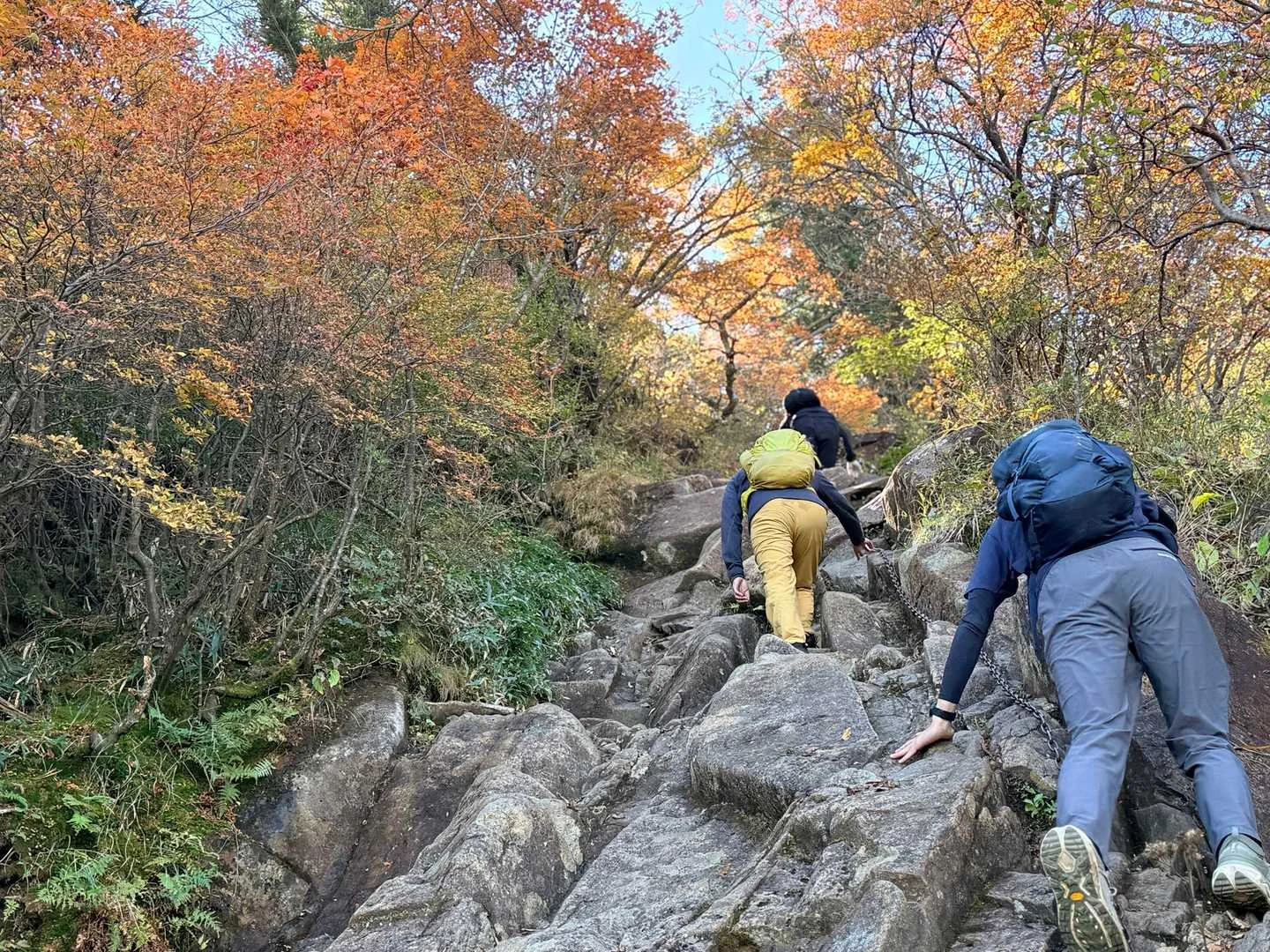 石鎚山・成就社ルート｜二ノ鎖の頭上に紅葉