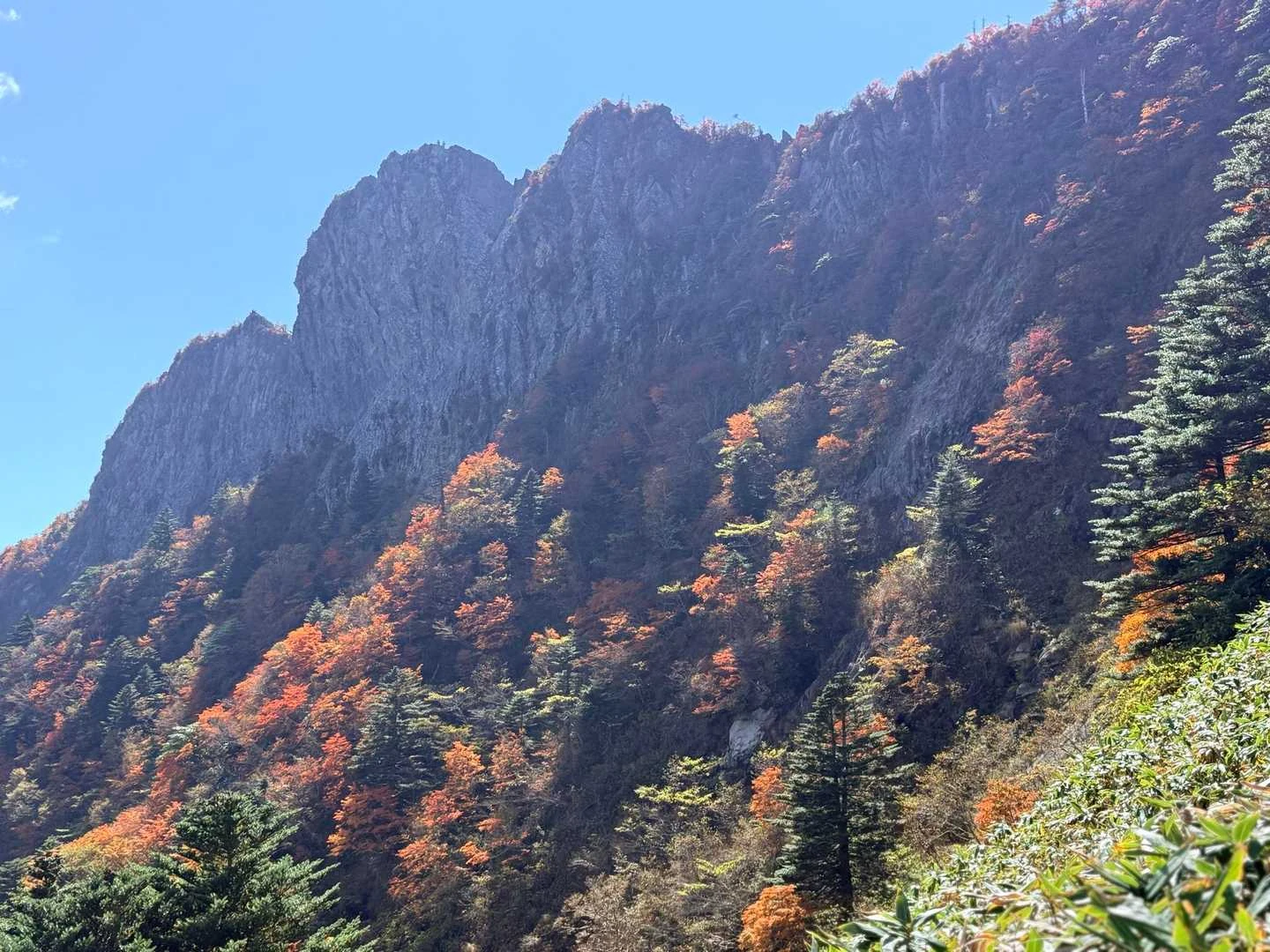 石鎚山・成就社ルート｜石鎚山の岩壁と紅葉