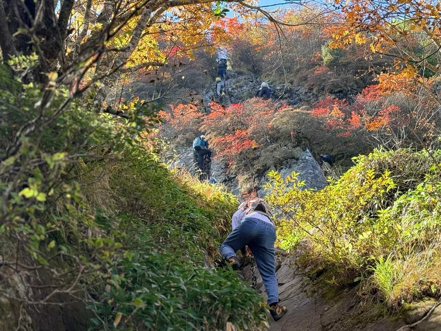 石鎚山・成就社ルート｜三ノ鎖手前の開けた場所