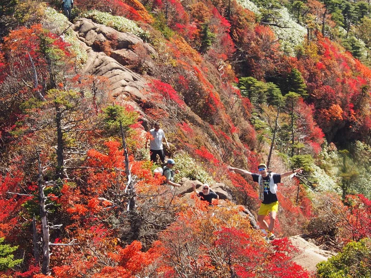 石鎚山・成就社ルート｜天狗岳へ向かう岩稜と紅葉