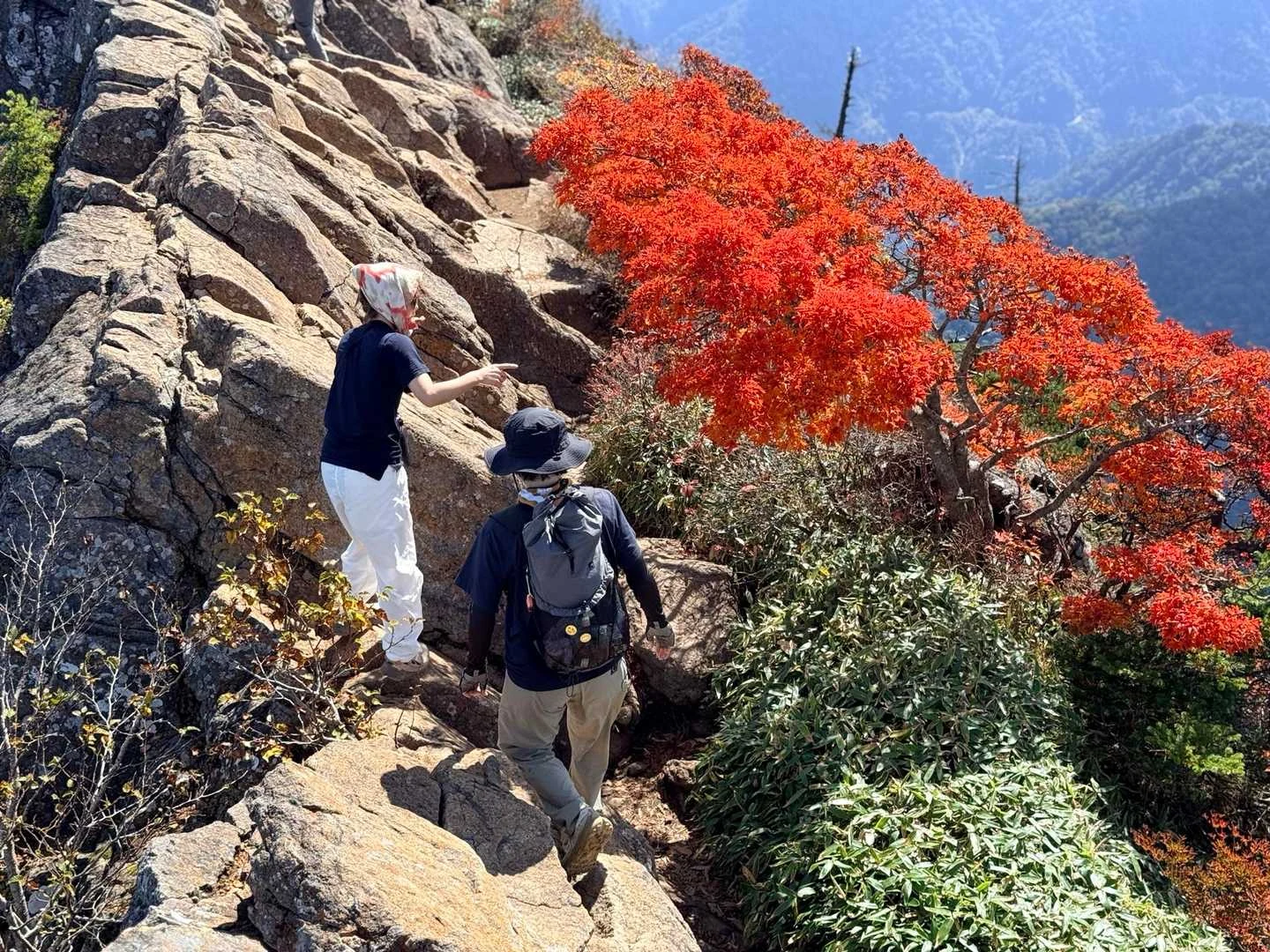 石鎚山・成就社ルート｜赤く色づく山肌