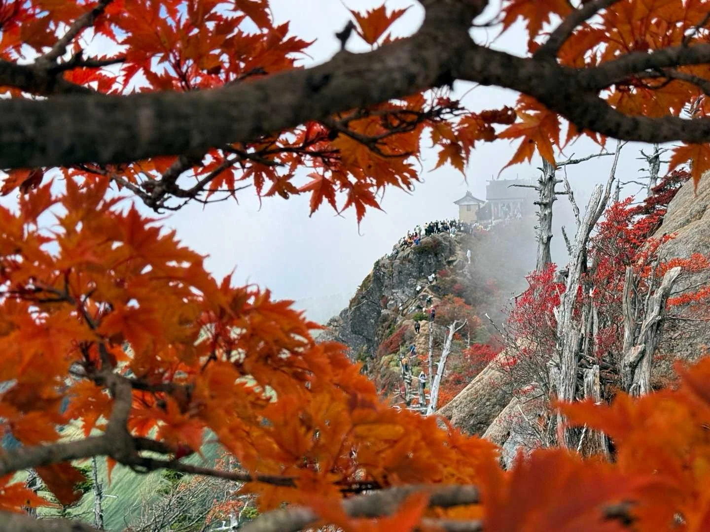 石鎚山・成就社ルート｜弥山を埋める登山者
