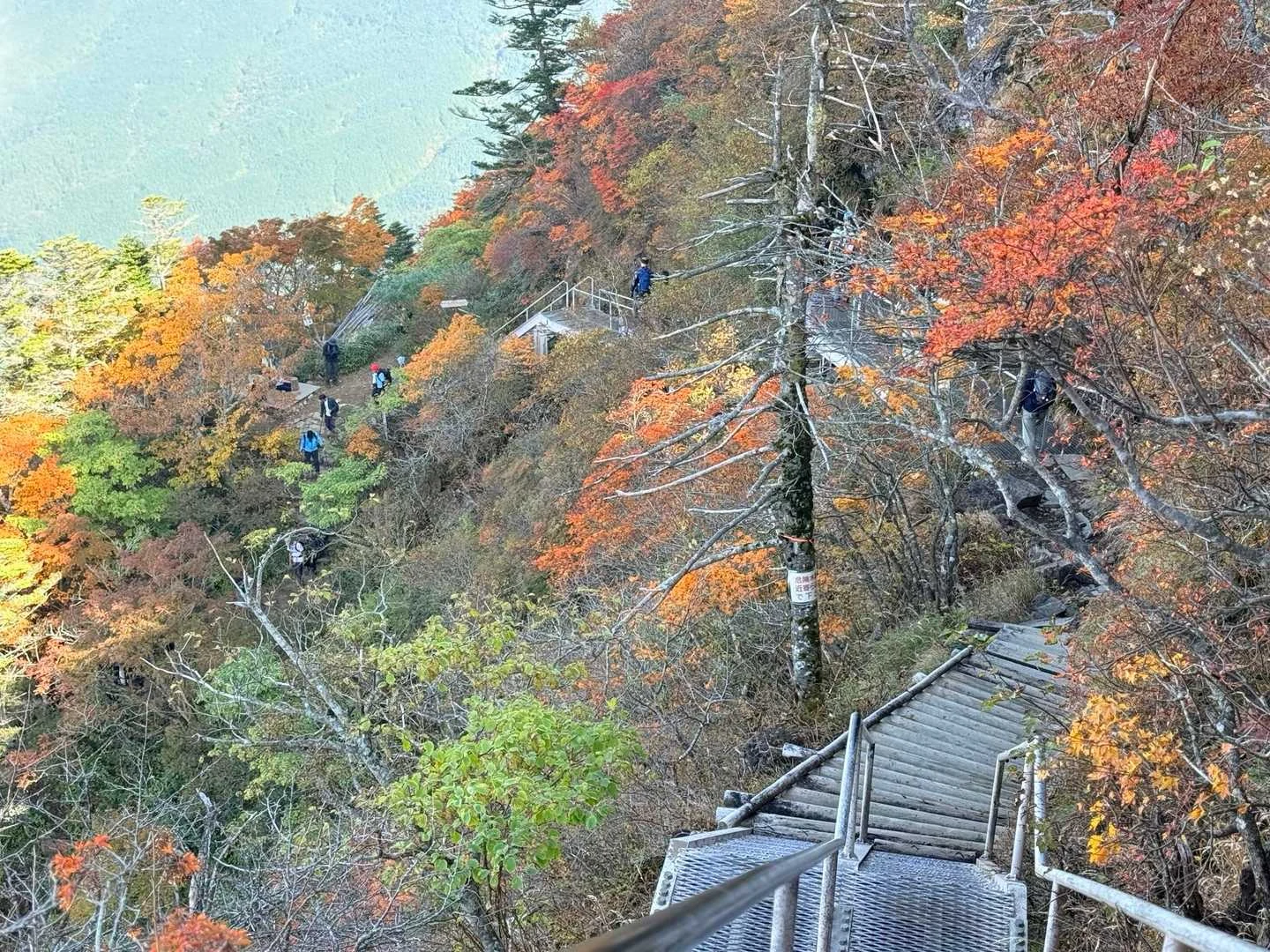 石鎚山・成就社ルート｜下りは鎖を避けて迂回路へ