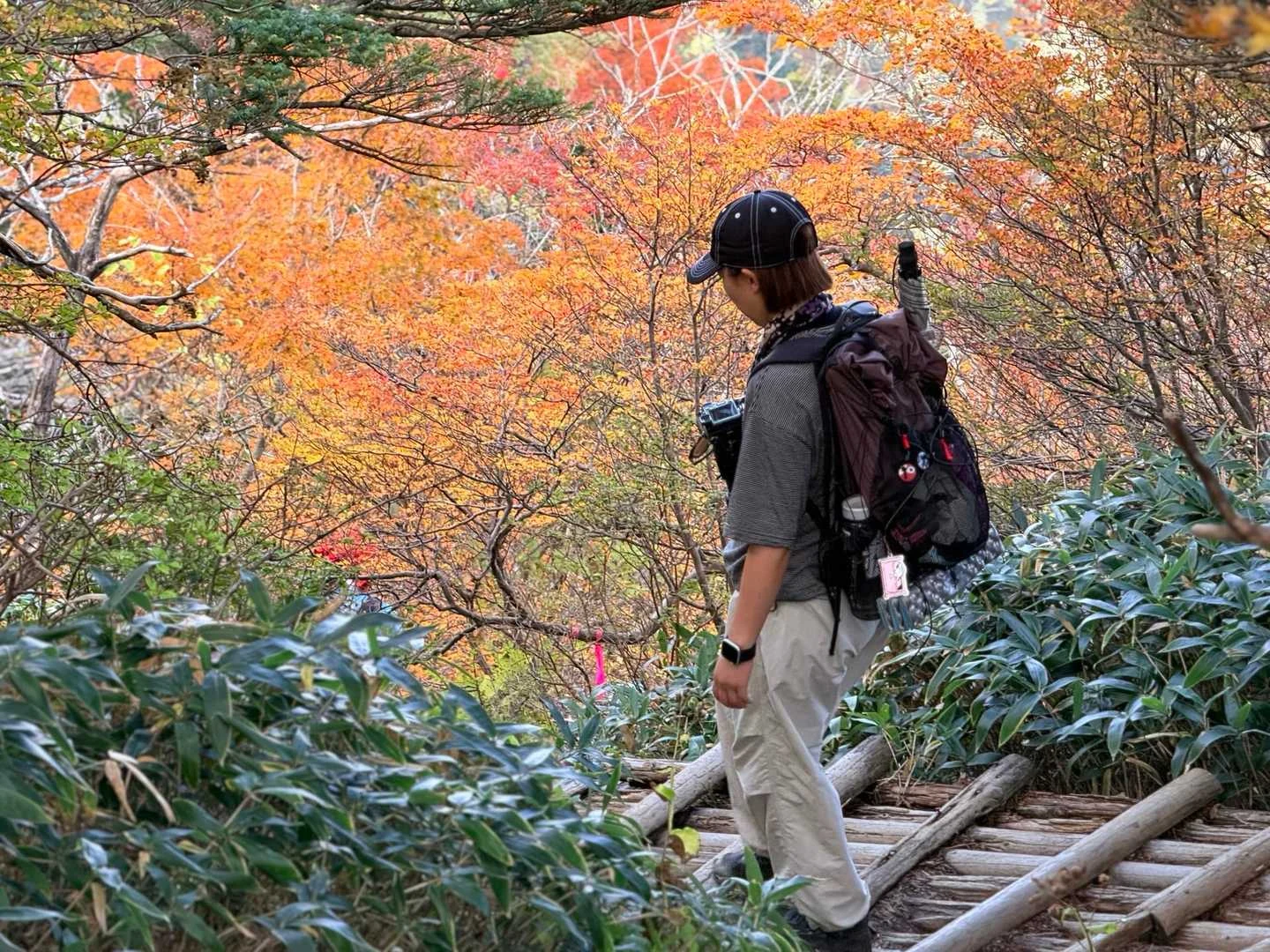 石鎚山・成就社ルート｜階段の先に広がる紅葉