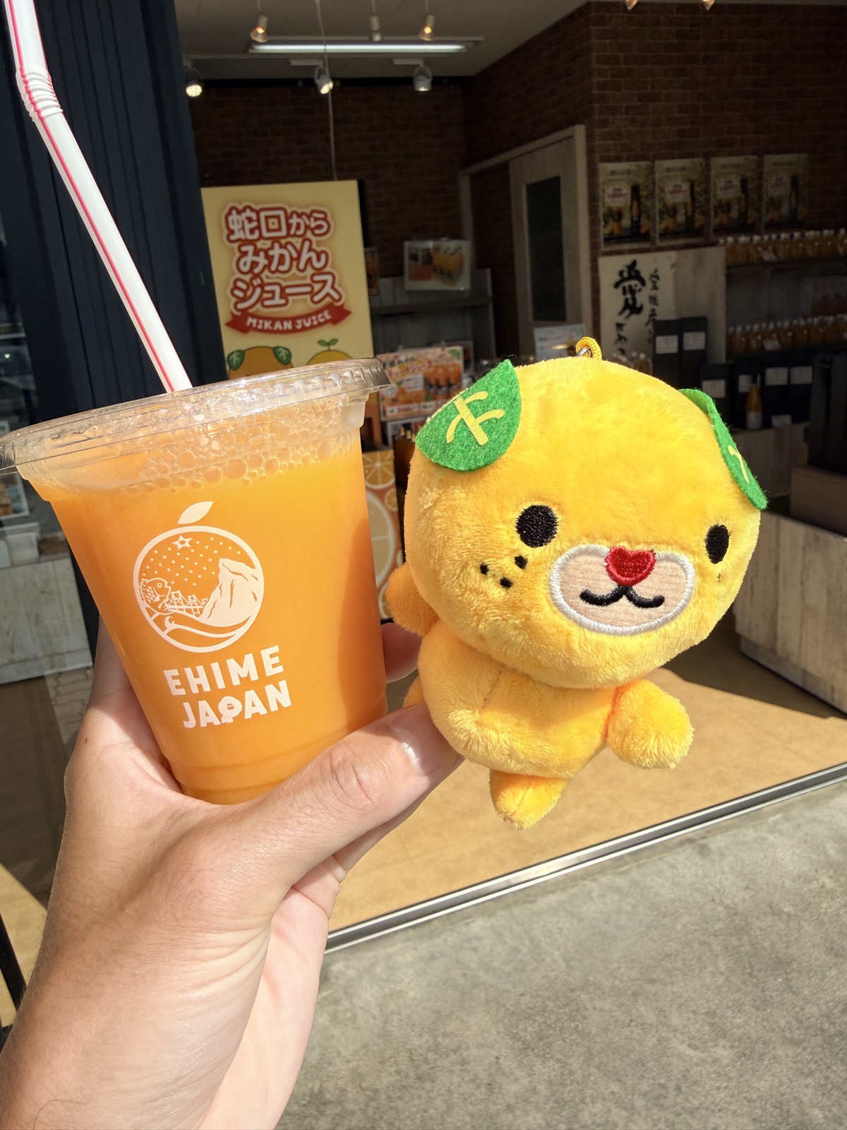 愛媛・石鎚山サービスエリアのみかんジュースとみきゃんのぬいぐるみ
