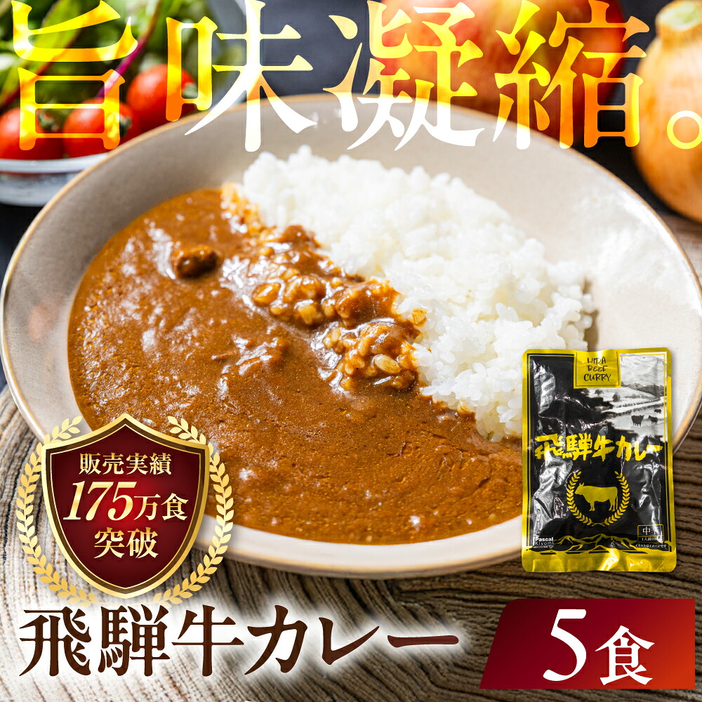 高山市の返礼品・飛騨牛カレー5袋