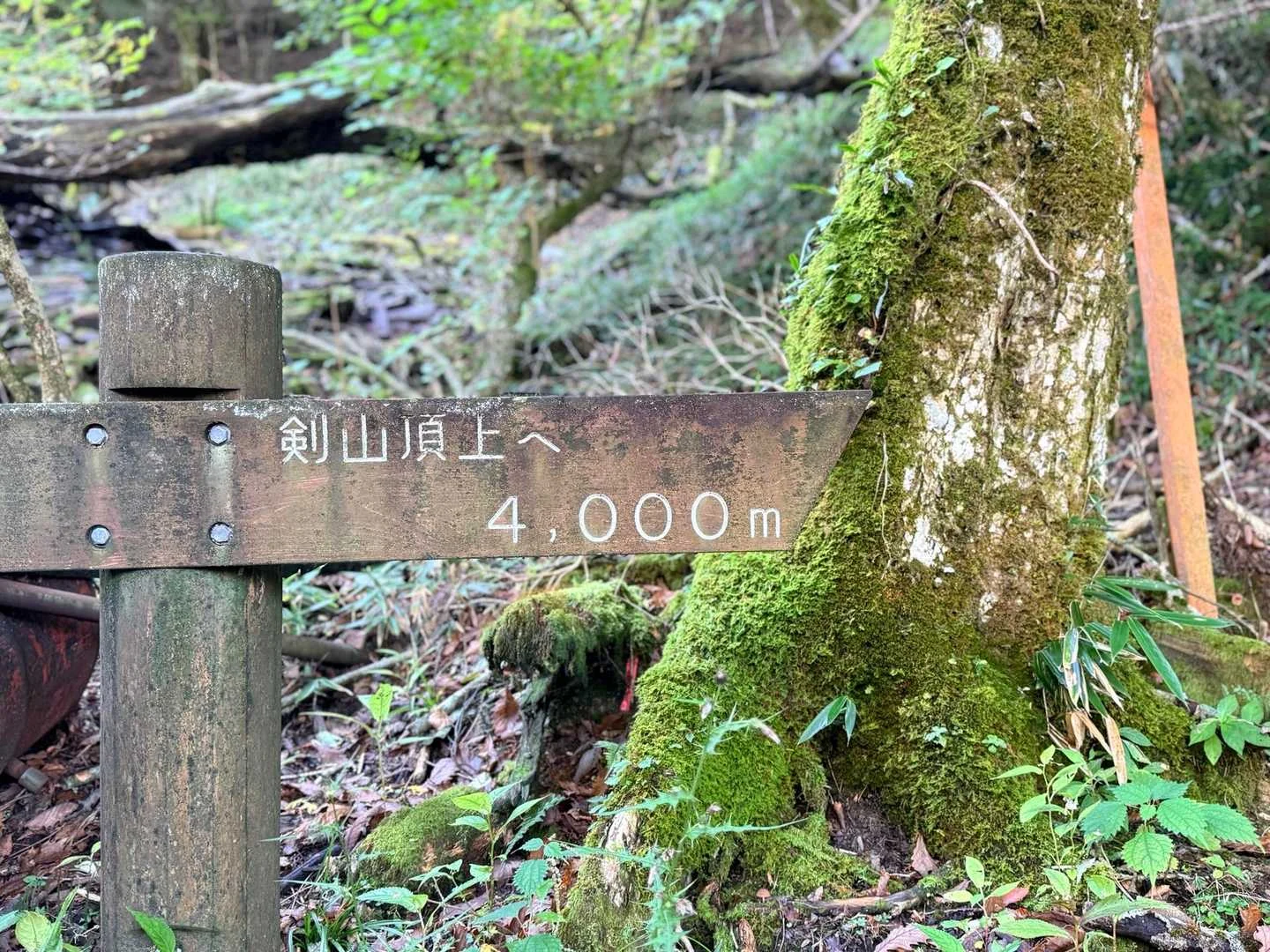 徳島県の剣山・次郎笈登山|山頂まで4kmの道標
