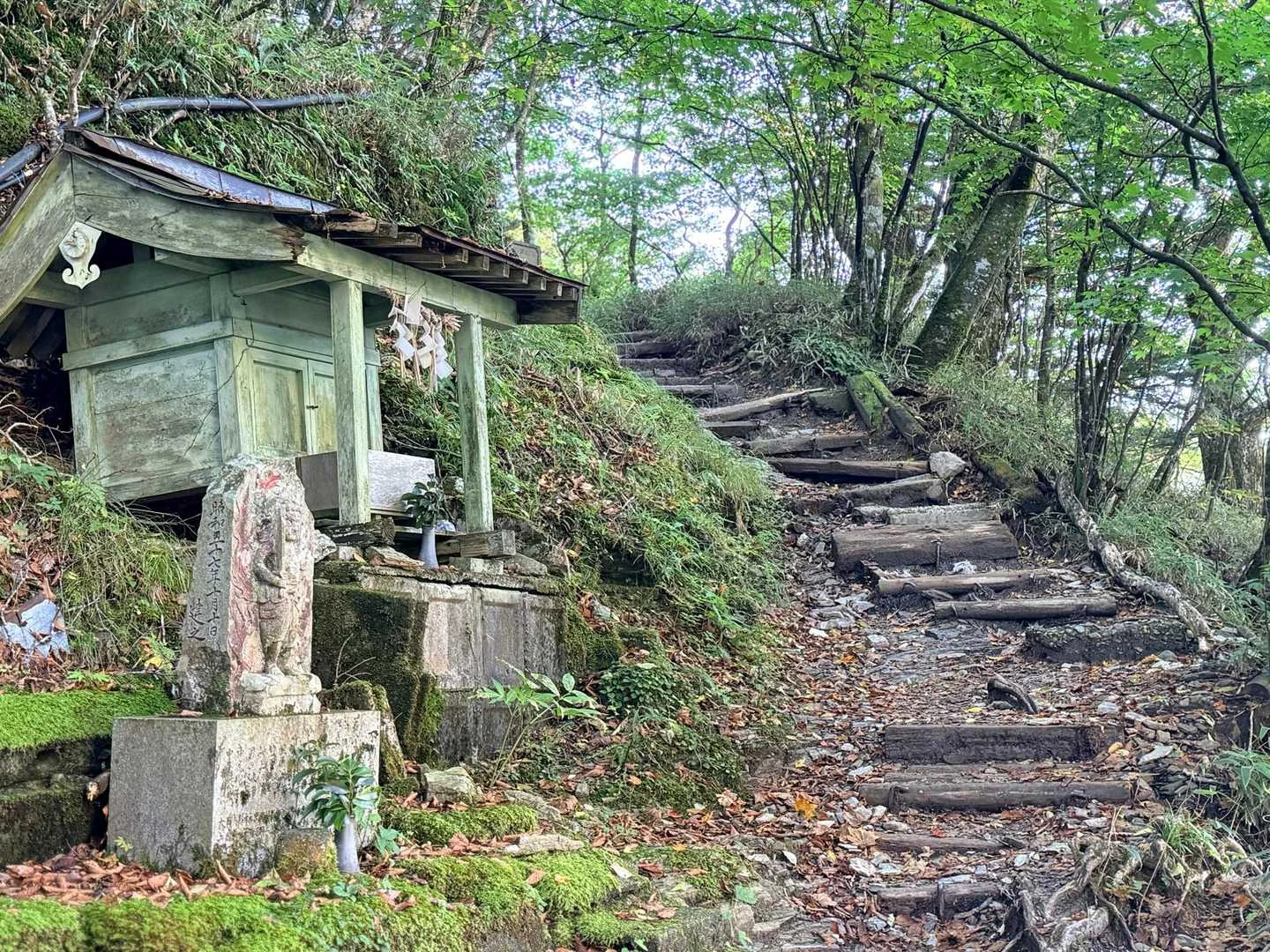 徳島県の剣山・次郎笈登山|森の中の登山道