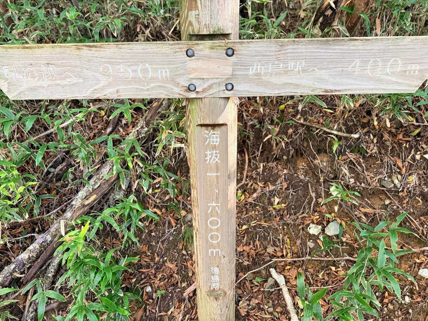 徳島県の剣山・次郎笈登山|標高1600m地点