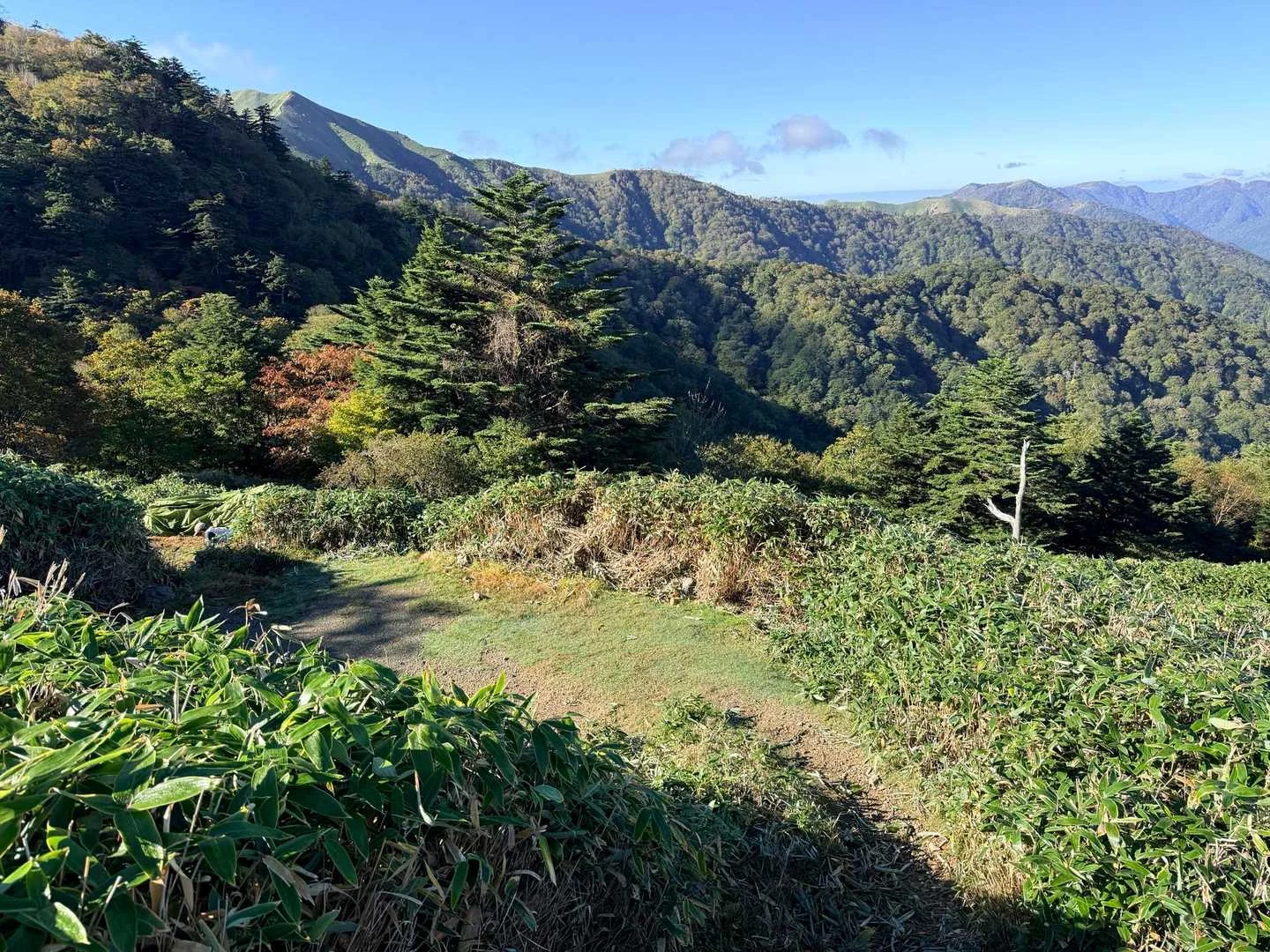 徳島県の剣山・次郎笈登山|野営場の一角
