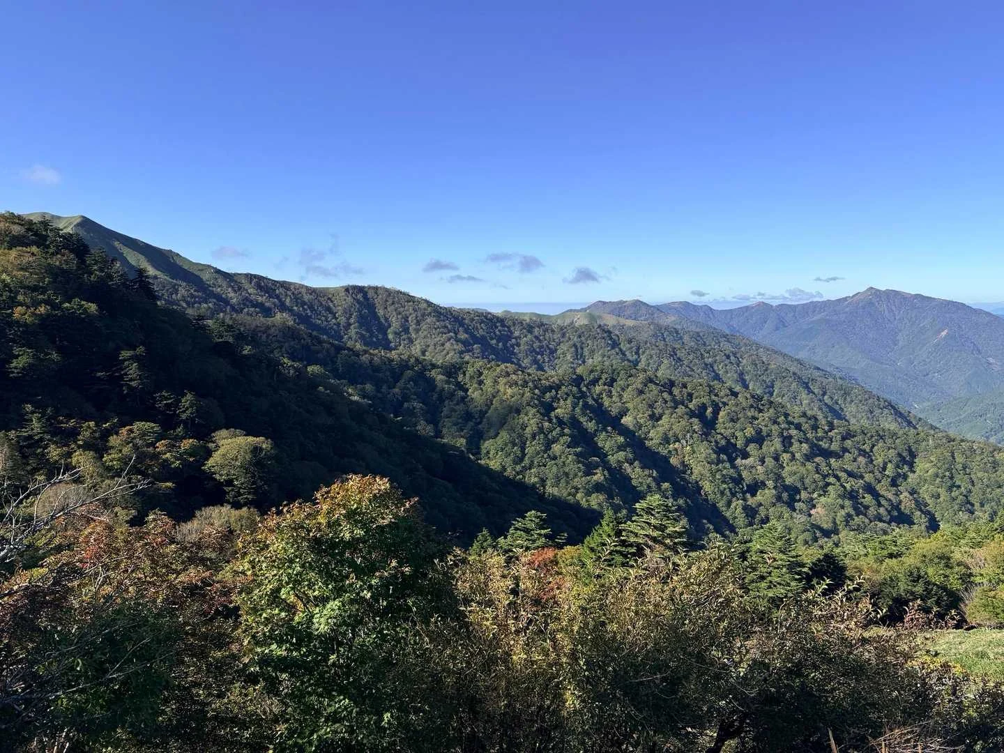 徳島県の剣山・次郎笈登山|次郎笈から三嶺へ続く山並み