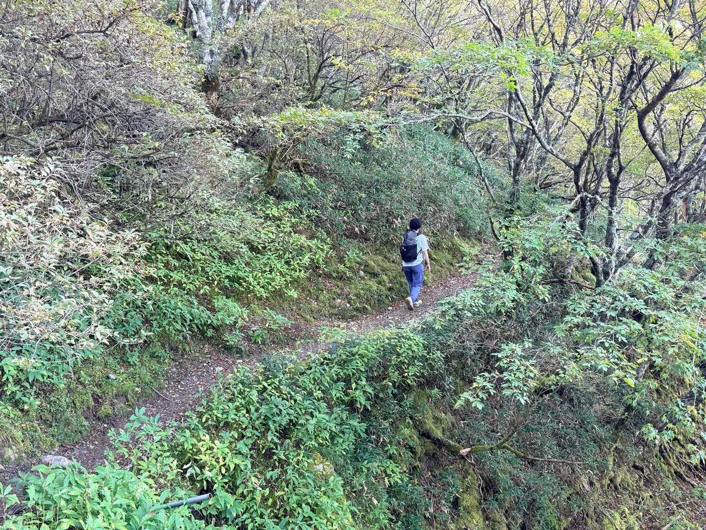 徳島県の剣山・次郎笈登山|山腹を横切る道