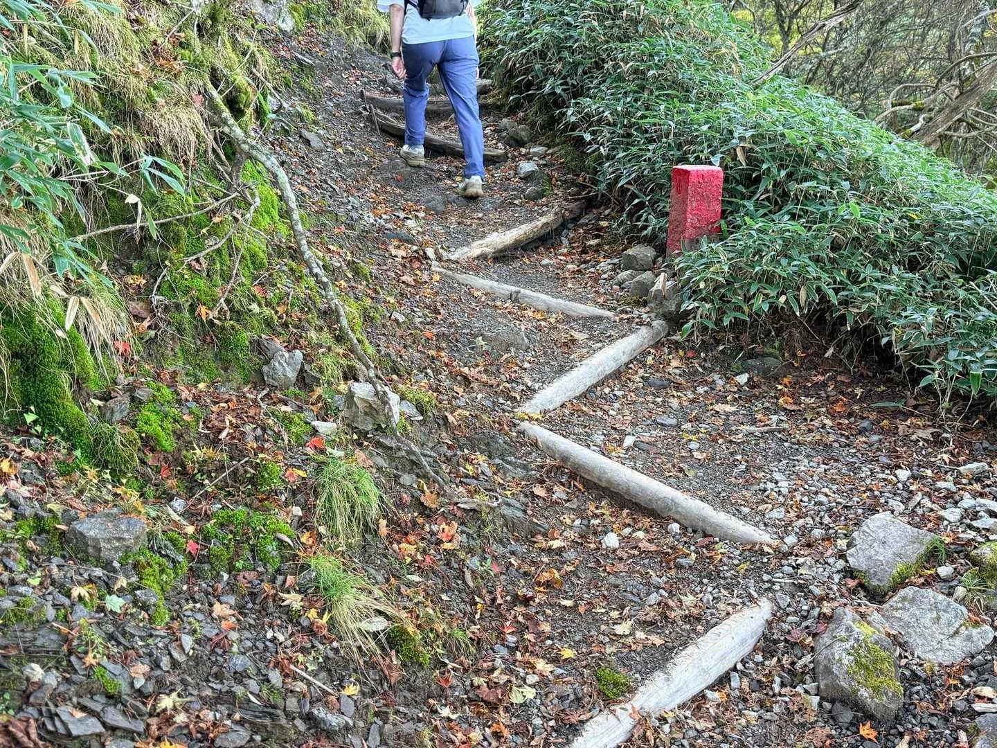 徳島県の剣山・次郎笈登山|ジグザグに直した登山道