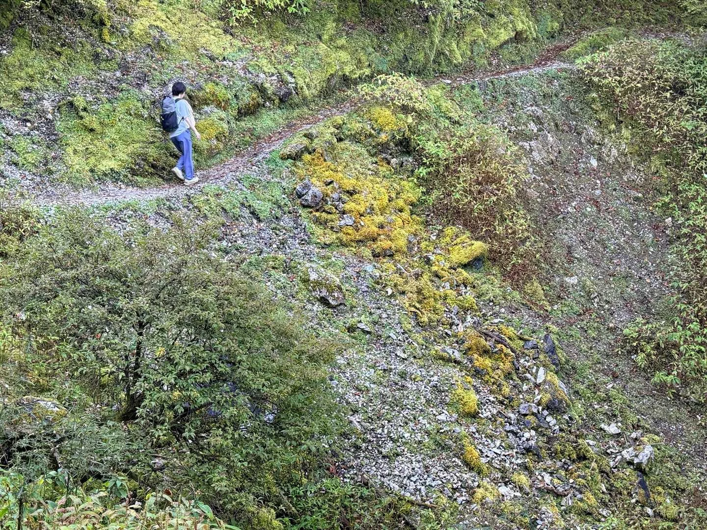 徳島県の剣山・次郎笈登山|崩れた斜面の通過点