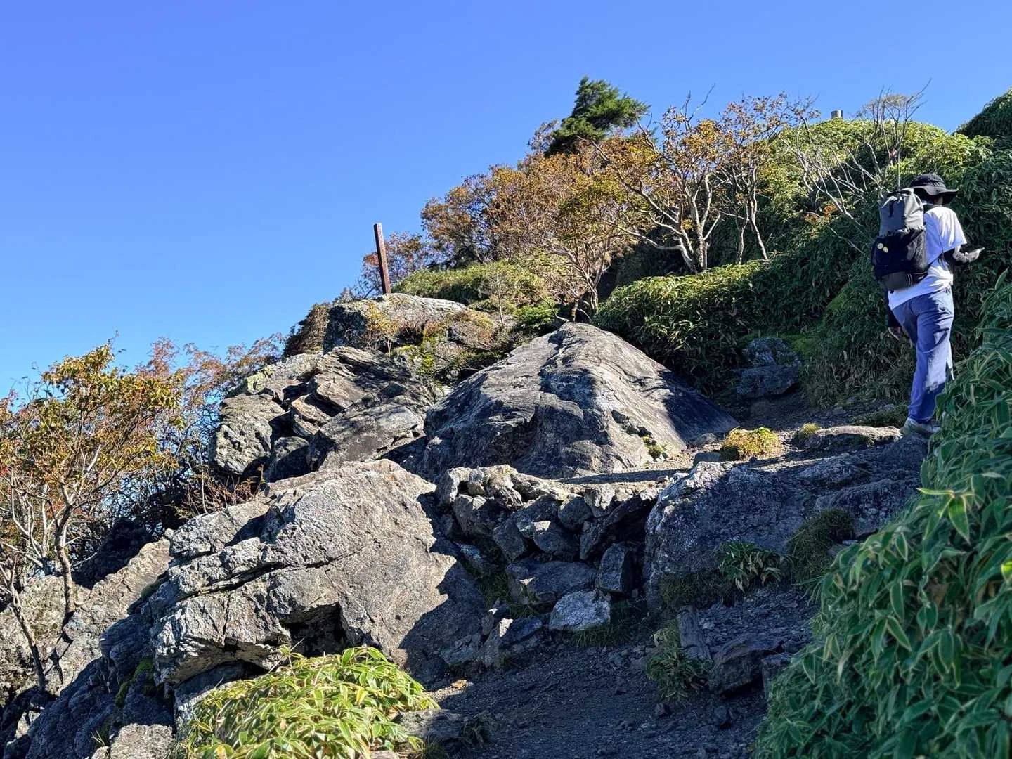 徳島県の剣山・次郎笈登山|岩が混じる道