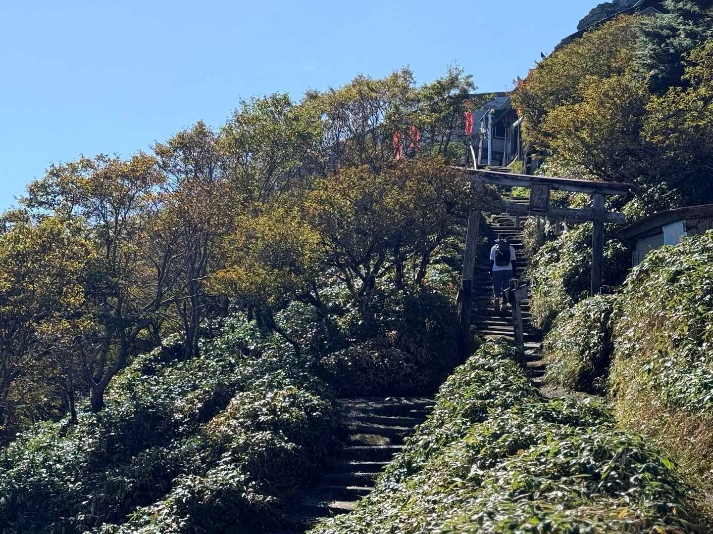 徳島県の剣山・次郎笈登山|頂上ヒュッテが見えた