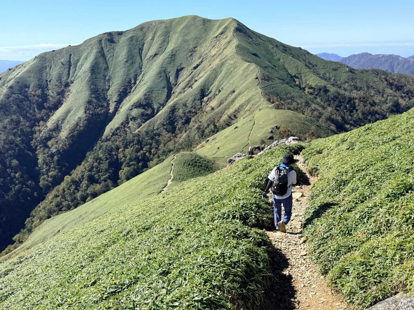 徳島県の剣山・次郎笈登山|笹原の稜線
