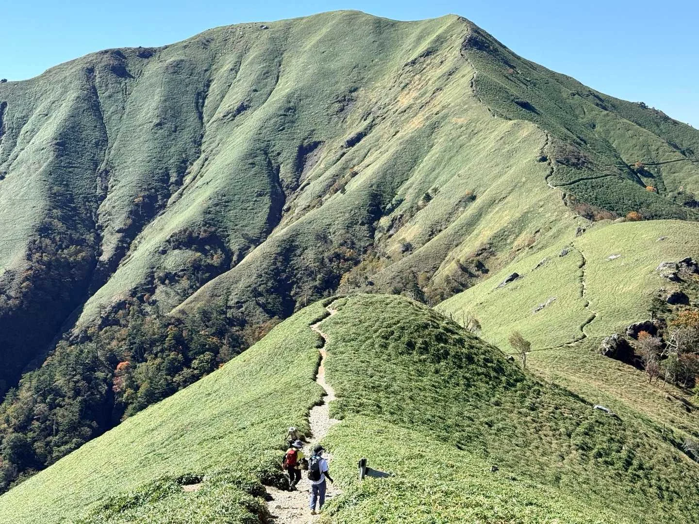 徳島県の剣山・次郎笈登山|空へ続くような道