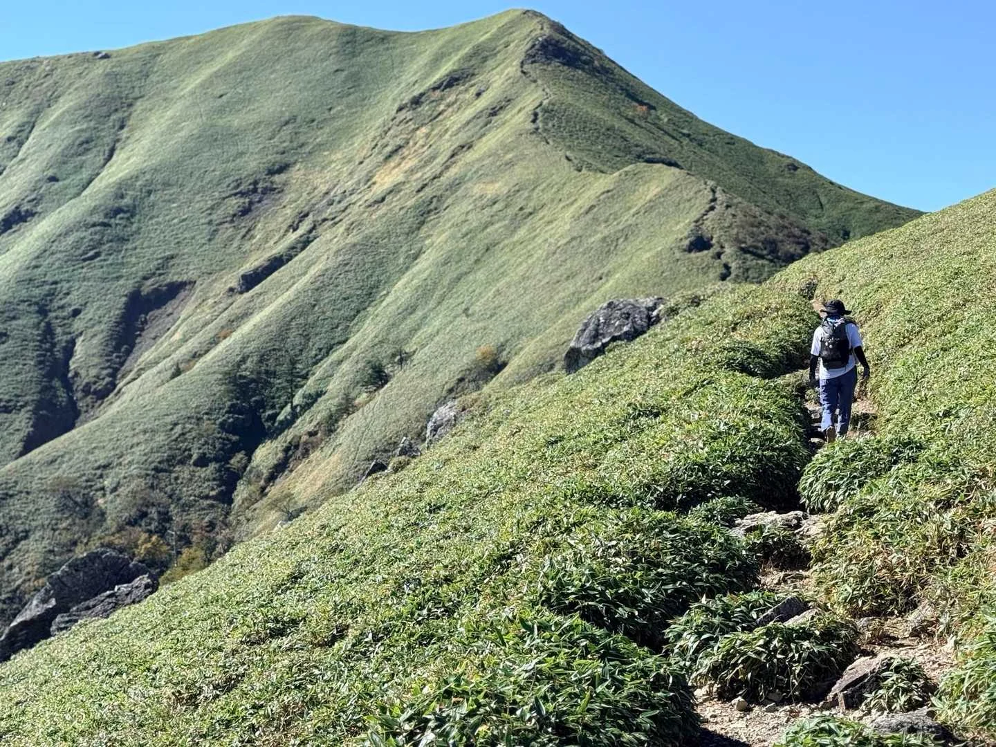 徳島県の剣山・次郎笈登山|次郎笈への下り