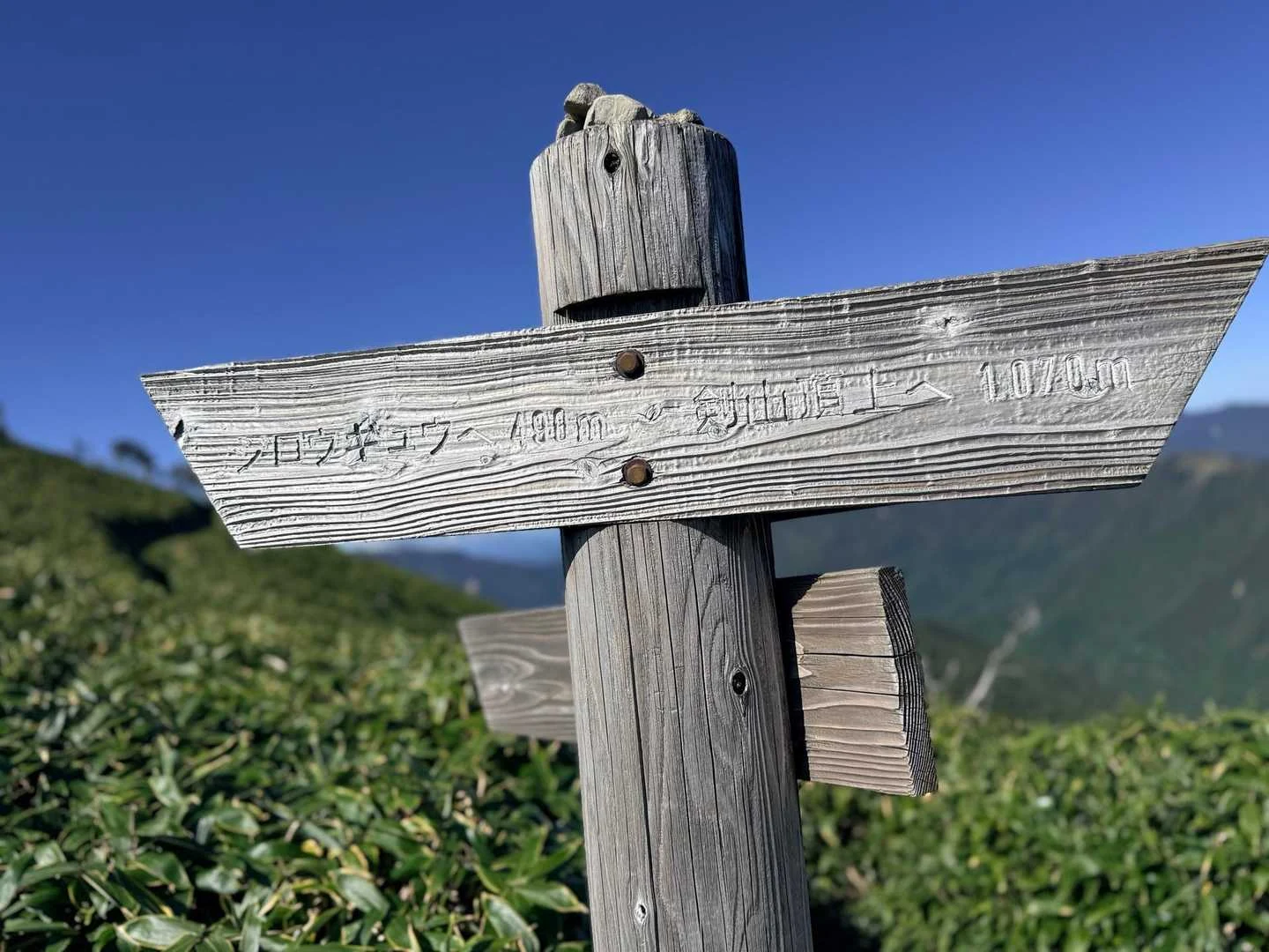 徳島県の剣山・次郎笈登山|次郎笈まで490m