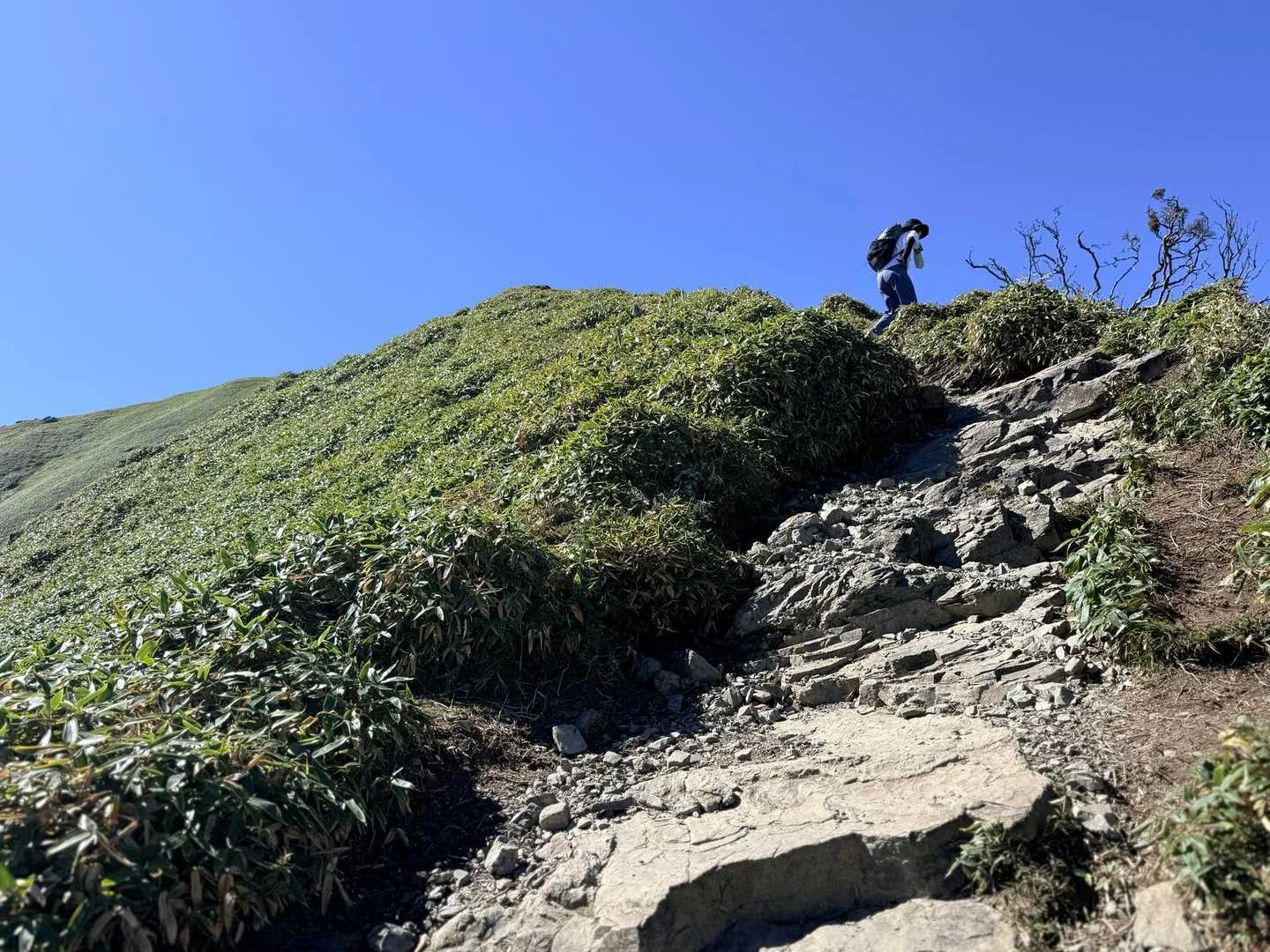 徳島県の剣山・次郎笈登山|次郎笈への登り