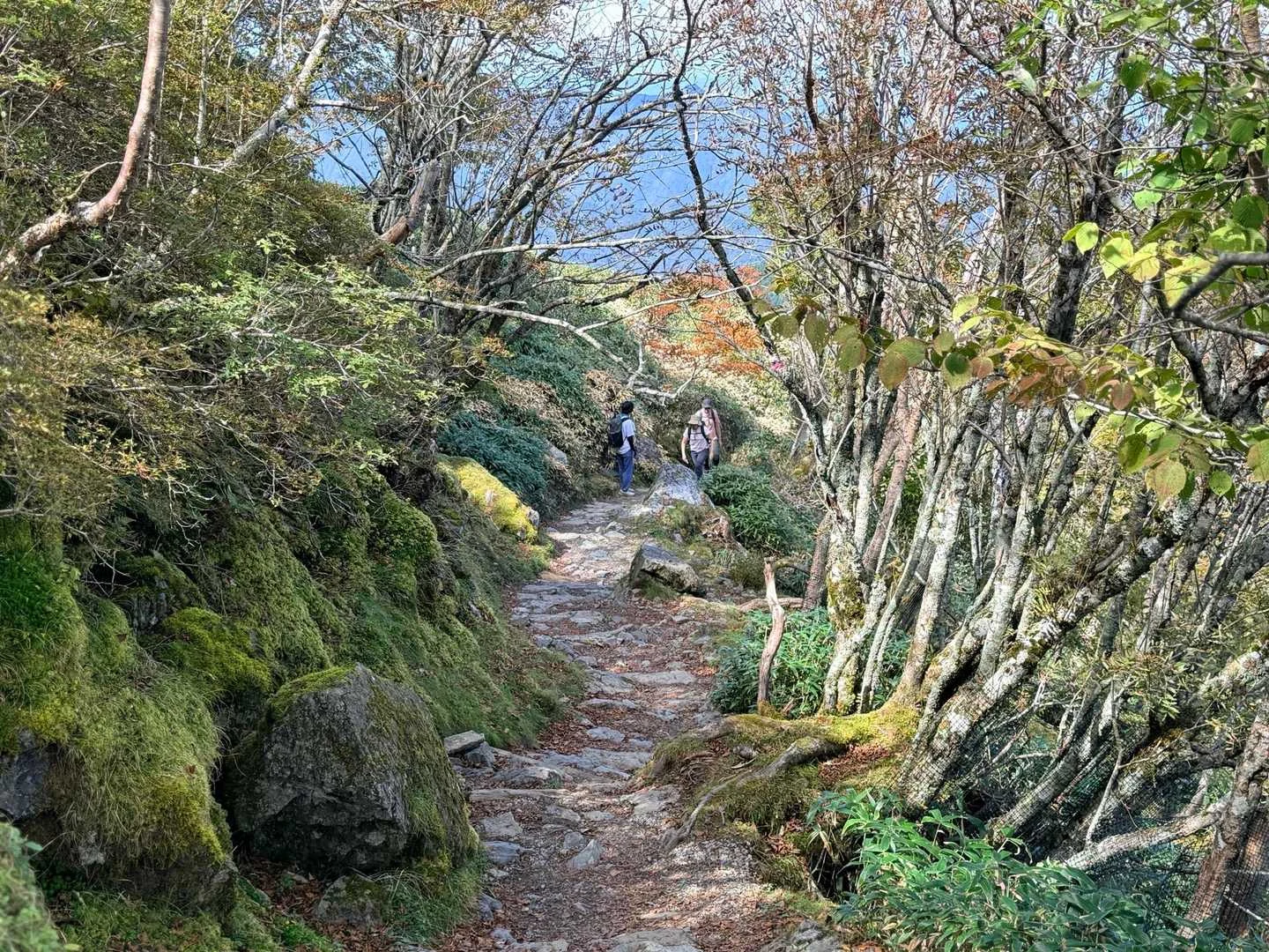 徳島県の剣山・次郎笈登山|帰りは稜線コースへ