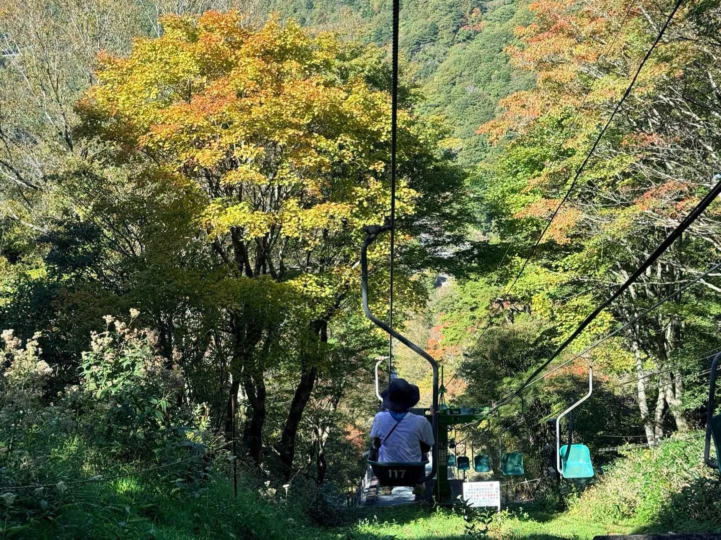 徳島県の剣山・次郎笈登山|リフトから見た紅葉
