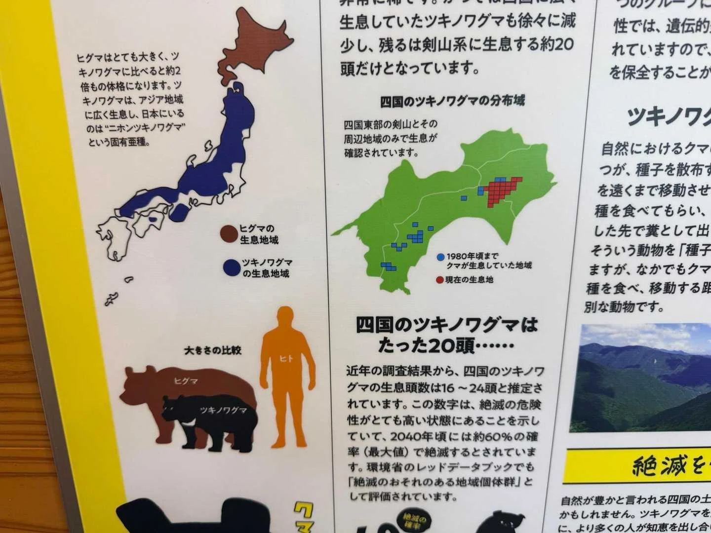 徳島県の剣山・次郎笈登山|四国のツキノワグマの展示