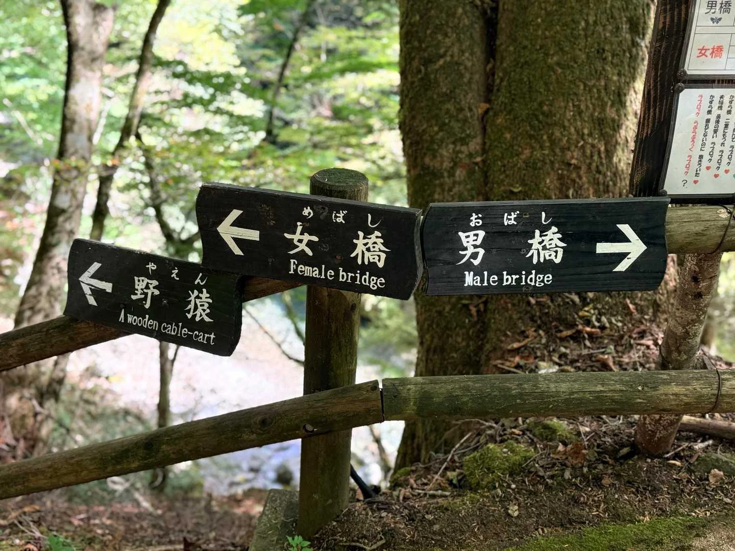 徳島県の剣山・次郎笈登山|まずは男橋へ