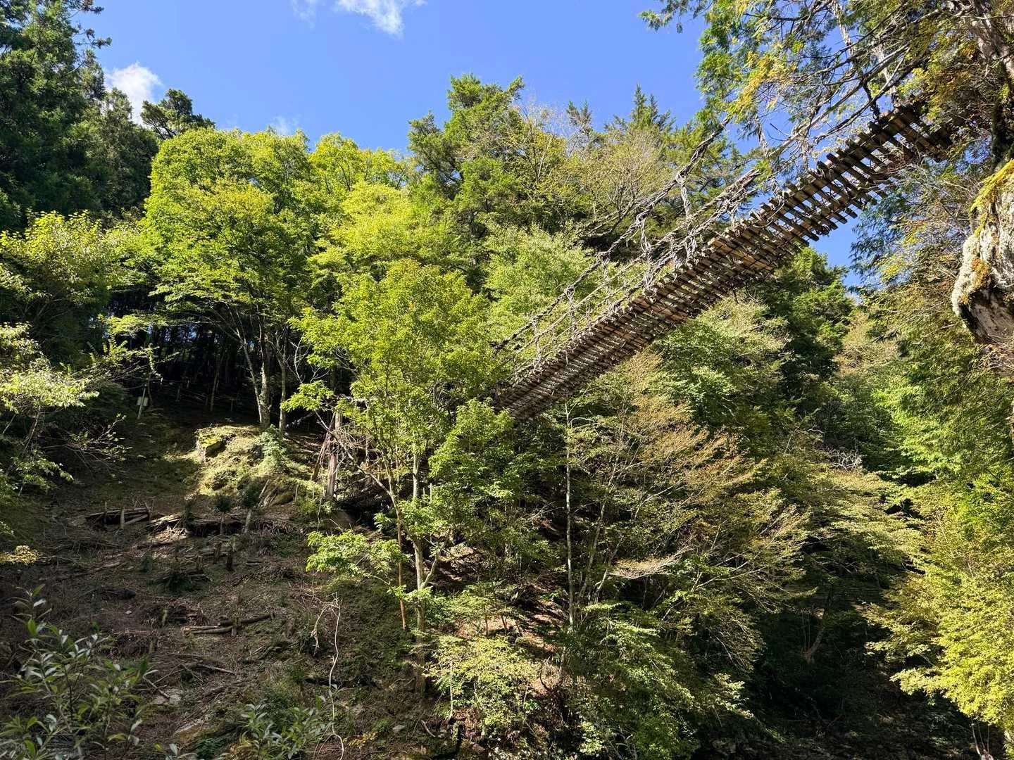 徳島県の剣山・次郎笈登山|高い位置に架かる男橋